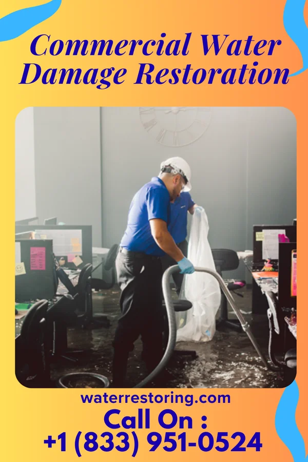 Commercial Water Damage Restoration in Queen Valley, AZ